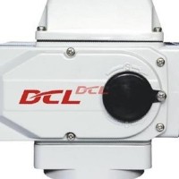 DCL-10E DCL-20E智能型電動閥門