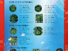 西安朗創電子技術有限公司 總經理  張亮 2024年新春寄語