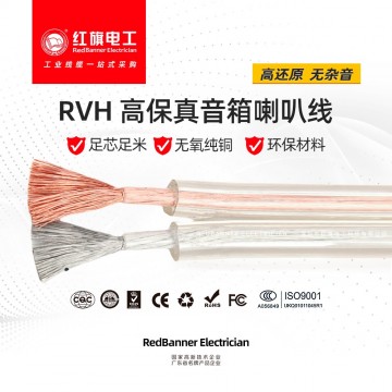 RVH 音響線（金銀線）